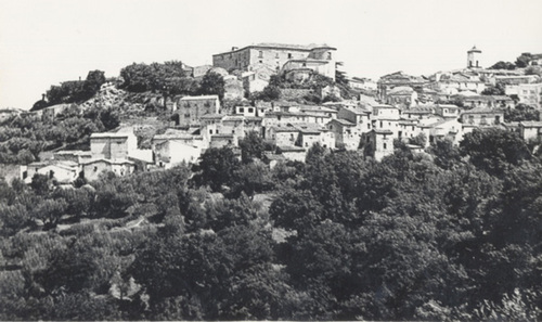 542114526_large