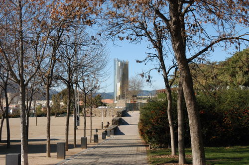 12_dsc_0130_s_almagor_large