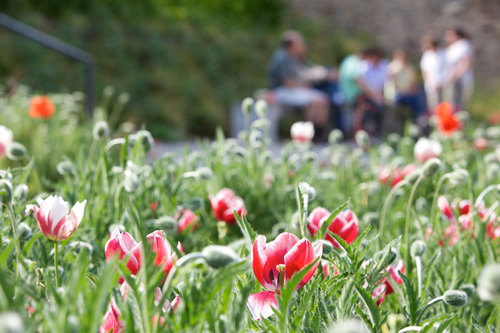 Bus_eberbach2_c_sandrahauer_2011_large