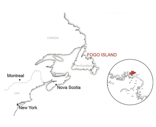 B_large