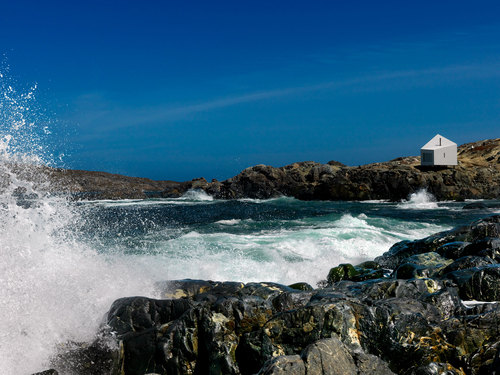A0019849-_1__large