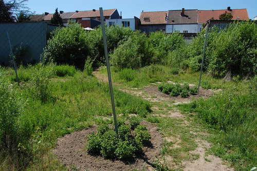 Dsc_0060_c_folkerts_large