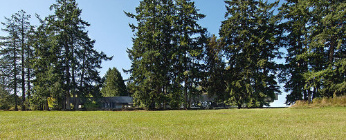 Linear-house_02_large