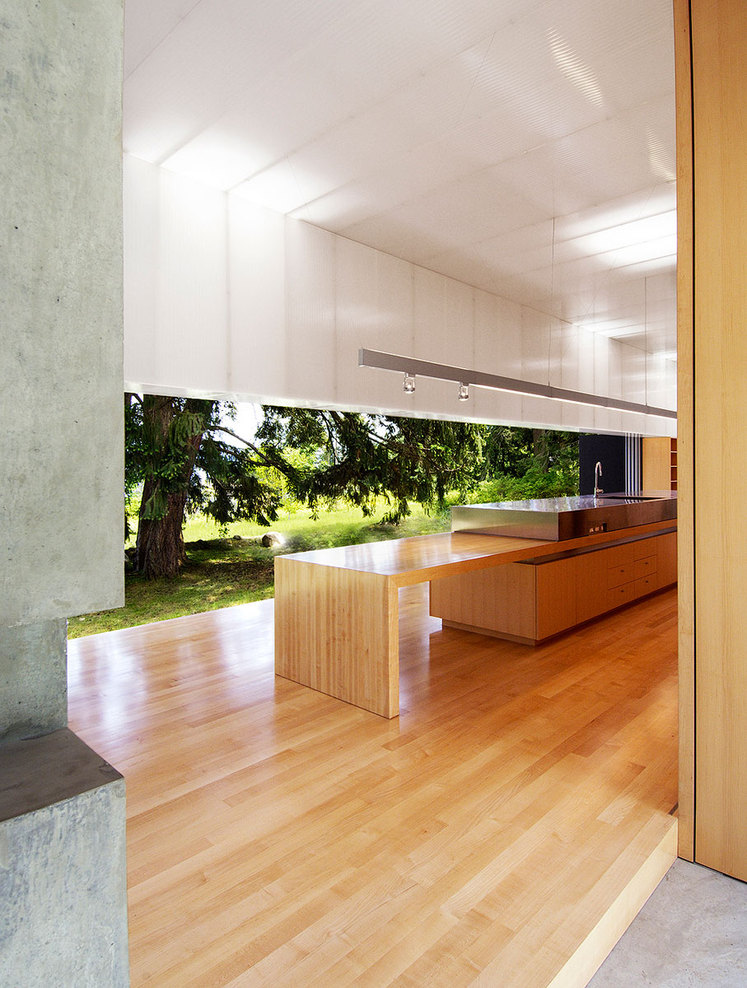 Linear-house_09_full