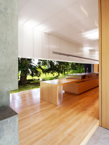 Linear-house_09_large