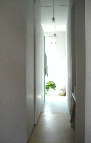 Img11_ec_large