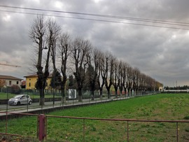 Img_0111_normal