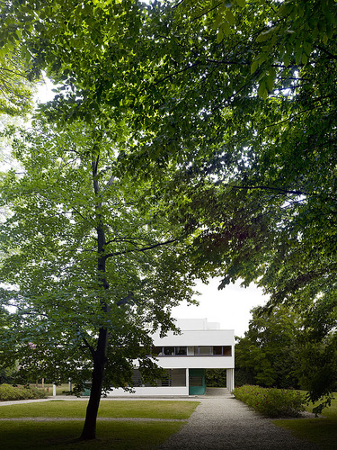 Villa_savoy__6__large