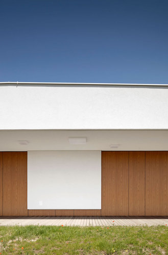 Solid_032_o_7766_kuku_large