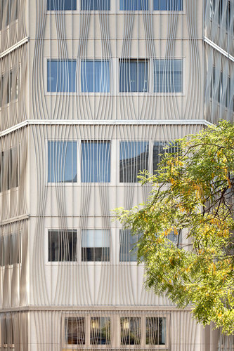 Solid_023_o_2726_kuku_large