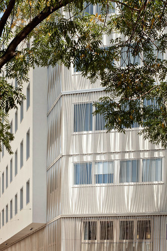 Solid_023_o_2792_kuku_large