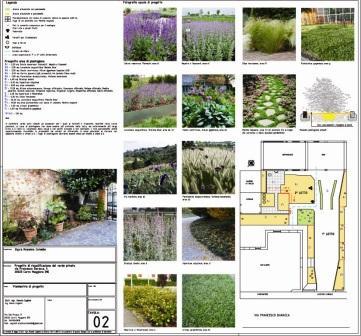 Progetto_copy_large
