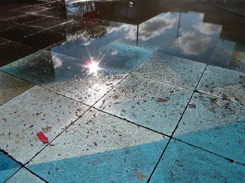 9-vincentlemay_large