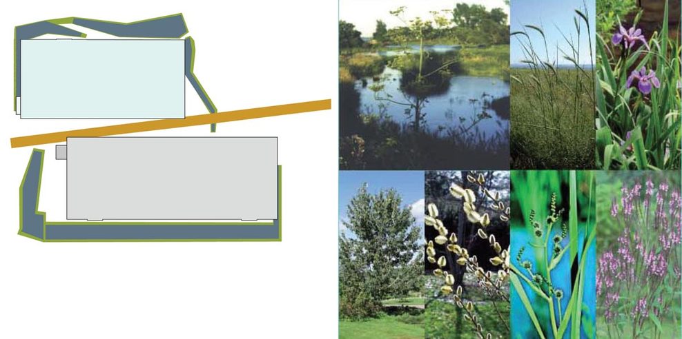 Wetlands_full