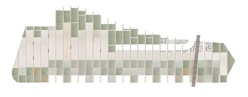 Tri-schema_pianta_large