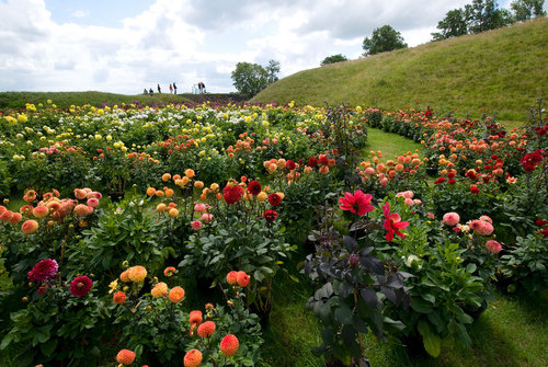 Entrenchedgarden03_large
