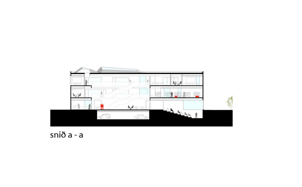 Section_aa_full