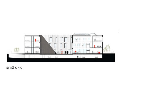 Section_cc_large