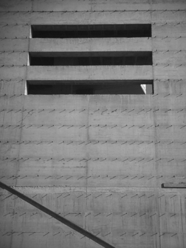 113671919_large