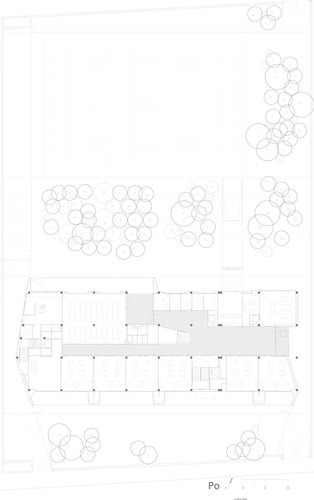 _planta-baja_large