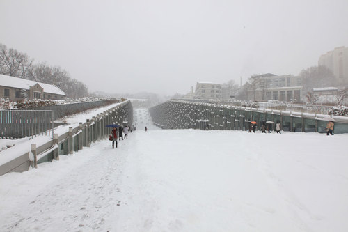 2011_ewha-valley_suk-joon-yoon_02_large