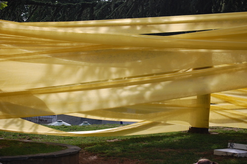 Dsc_0524_large