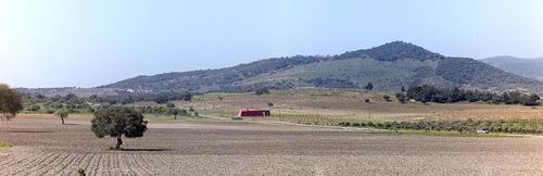 030_large