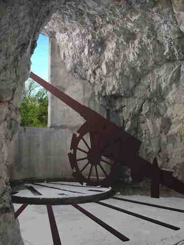 Cannone_r_large