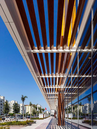 Terracİty-_25__large