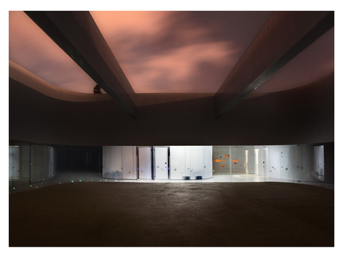 12_photo_08_patio_night_large