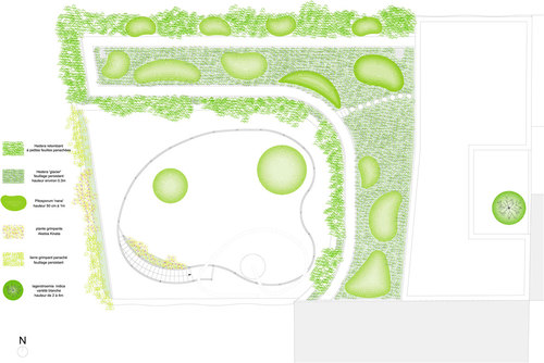 Plan-vegetation_large