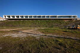 Lfa_20110202_002_normal