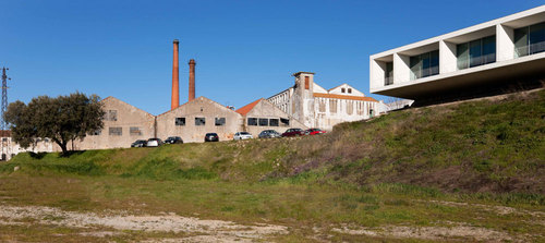 Lfa_20110202_003_large