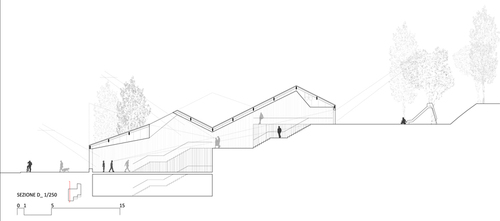Sezione_d_large