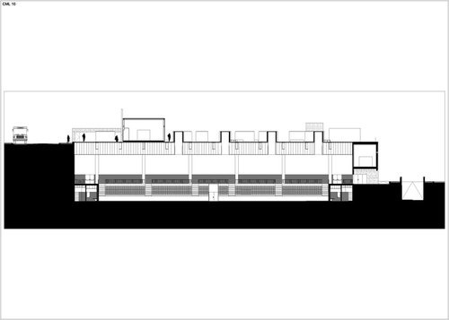 Cml-10_large