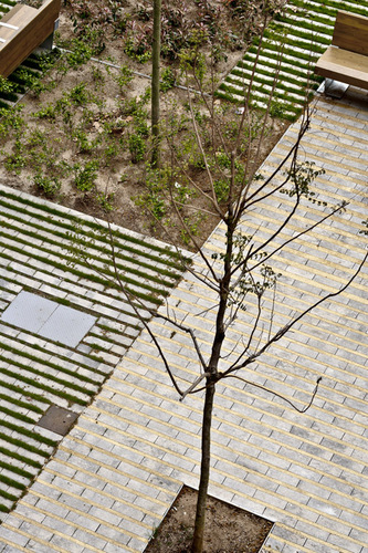 10b_large