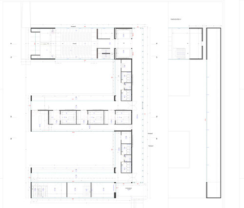 Planta_large