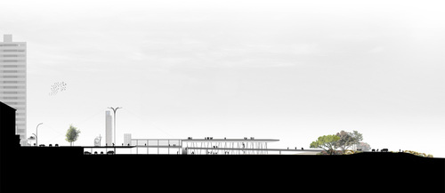 Rvdm__section_3_large