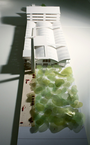 Plastico_07_large