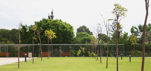 10a_large