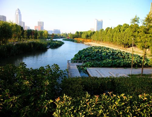 Yingzhou_02c_large