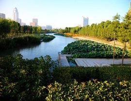 Yingzhou_02c_normal