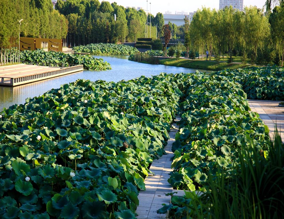 Yingzhou_07_full