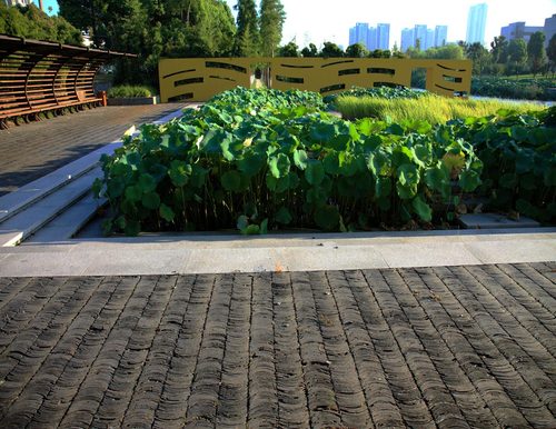 Yingzhou_08c_large