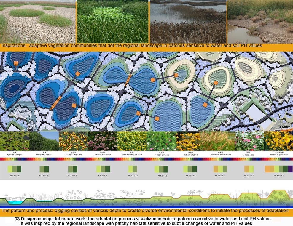 033-03-dapative-palete-s_full
