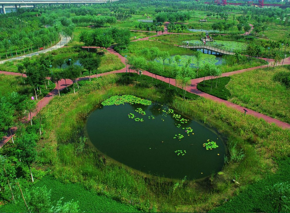 033-04-bird-eye-view-s_full