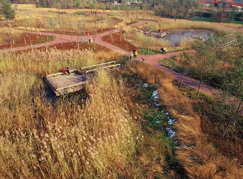 033-05-bird-eye-view-fall-s_large