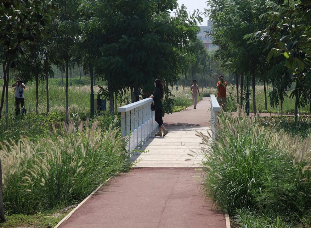 033-14-bridge-across-wetland-s_full