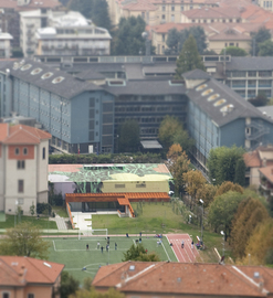 Palestra_bg_61bis_normal