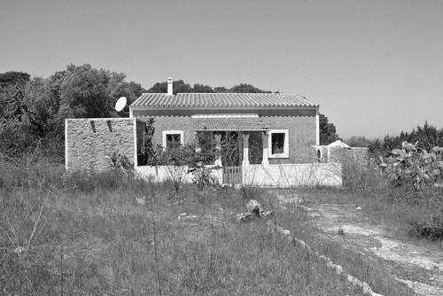 Dsc_0161_large